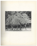Ansel Adams Signed Copy of His Monograph Entitled ''Ansel Adams'' Comprising 117 Photographs